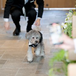 ザ・ガーデンオリエンタル大阪の写真18枚目