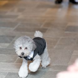 ザ・ガーデンオリエンタル大阪の写真24枚目