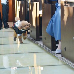 シェラトン・グランデ・トーキョーベイ・ホテルの写真30枚目