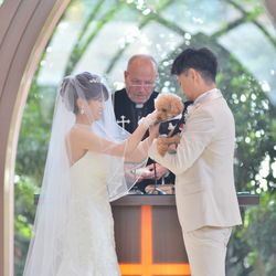 シェラトン・グランデ・トーキョーベイ・ホテルの写真4枚目