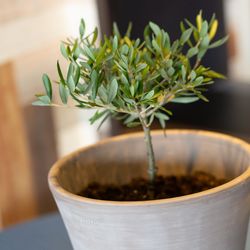 MARIAGE GRANDEの写真8枚目