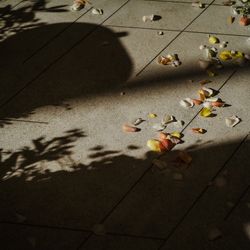 ザ・マークグランドホテルの写真12枚目