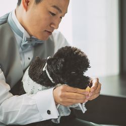 キンプトン新宿東京の写真1枚目