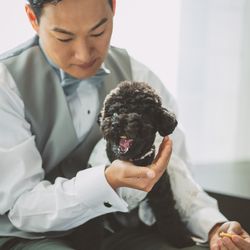 キンプトン新宿東京の写真11枚目