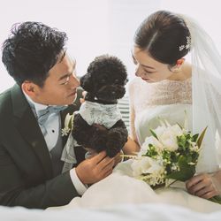 キンプトン新宿東京の写真26枚目