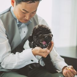 キンプトン新宿東京の写真3枚目