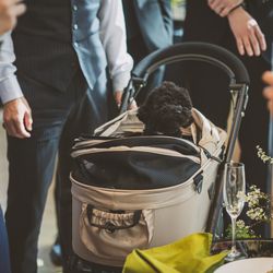キンプトン新宿東京の写真20枚目