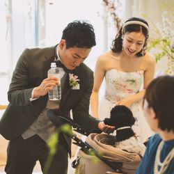 キンプトン新宿東京の写真8枚目