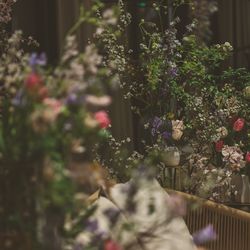 キンプトン新宿東京の写真19枚目