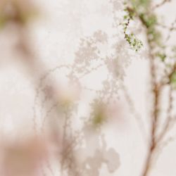 キンプトン新宿東京の写真11枚目