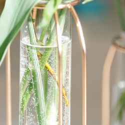 キンプトン新宿東京の写真3枚目