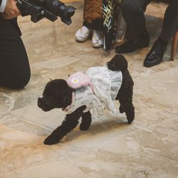 キンプトン新宿東京の写真23枚目