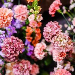 東京會舘の写真7枚目