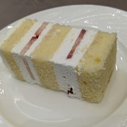 ステラ・デル・アンジェロの写真4枚目