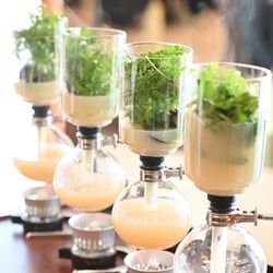 アルジェントの写真23枚目