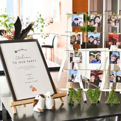 アルジェントの写真32枚目