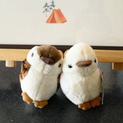 アルジェントの写真1枚目