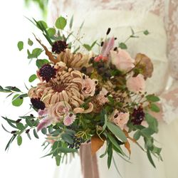 アルジェントの写真23枚目