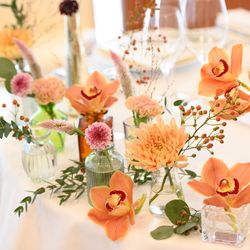 アルジェントの写真5枚目