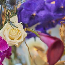 キンプトン新宿東京の写真20枚目