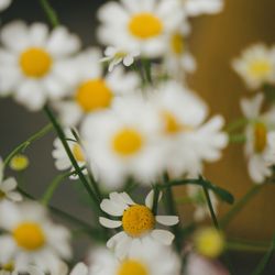 MAYAの写真25枚目