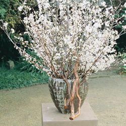 MAYAの写真30枚目