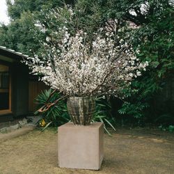 MAYAの写真31枚目