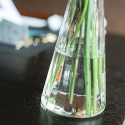 MAYAの写真10枚目