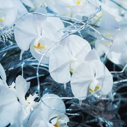 グランド ハイアット 東京の写真19枚目