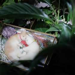 ザ ストリングス 表参道の写真27枚目