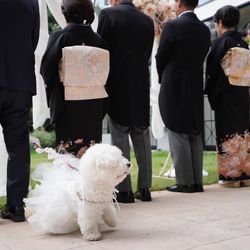 ザ・シーズンズの写真30枚目