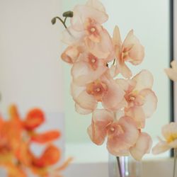 ララシャンス 博多の森の写真32枚目