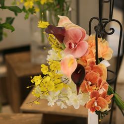 ララシャンス 博多の森の写真11枚目