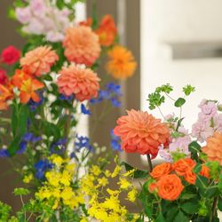 ララシャンス 博多の森の写真5枚目