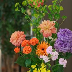 ララシャンス 博多の森の写真31枚目