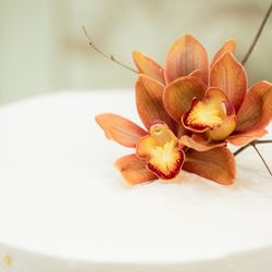 アヴァンセリアン大阪の写真22枚目