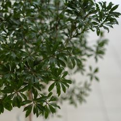 アマンダンヒルズの写真4枚目