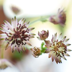 ジェームス邸の写真16枚目