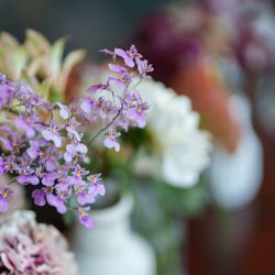 ジェームス邸の写真31枚目