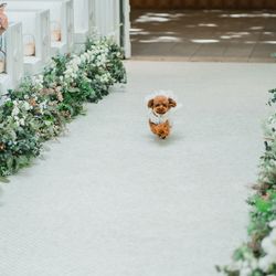 クルヴェット名古屋の写真12枚目