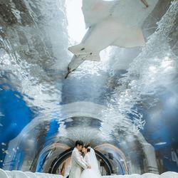 TABLE ９ TOKYOの写真18枚目