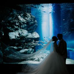 TABLE ９ TOKYOの写真31枚目