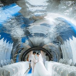 TABLE ９ TOKYOの写真28枚目