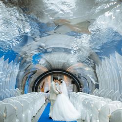 TABLE ９ TOKYOの写真12枚目