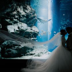 TABLE ９ TOKYOの写真4枚目