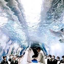 TABLE ９ TOKYOの写真4枚目