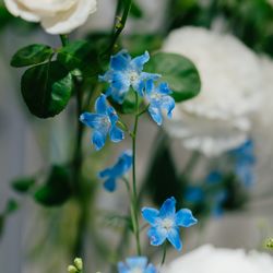 アニヴェルセル 表参道の写真16枚目