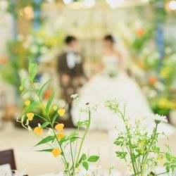 The Forest of Loldの写真23枚目