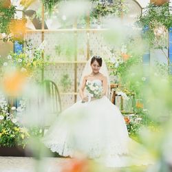 The Forest of Loldの写真25枚目