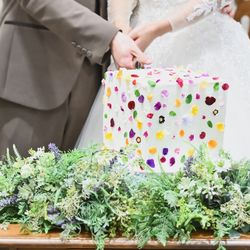 The Forest of Loldの写真3枚目